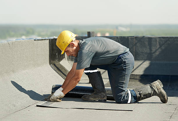 Best Best Insulation Companies  in Cle Elum, WA